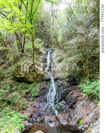 A view of the cool spring Shiraito Falls 77563158