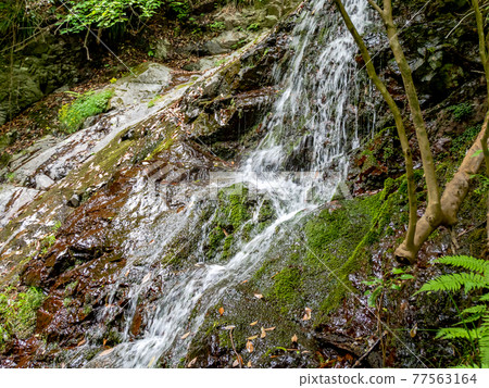 A view of the cool spring Shiraito Falls 77563164
