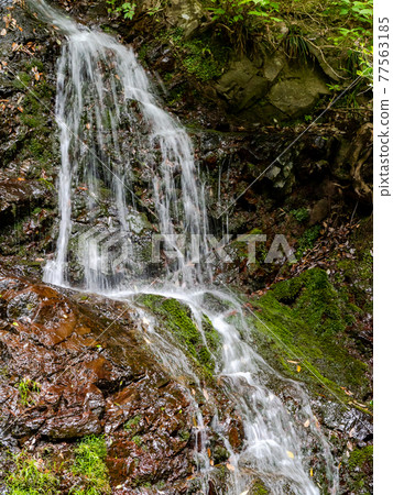 A view of the cool spring Shiraito Falls 77563185