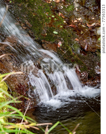 A view of the cool spring Shiraito Falls 77563313