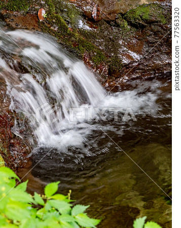 A view of the cool spring Shiraito Falls 77563320