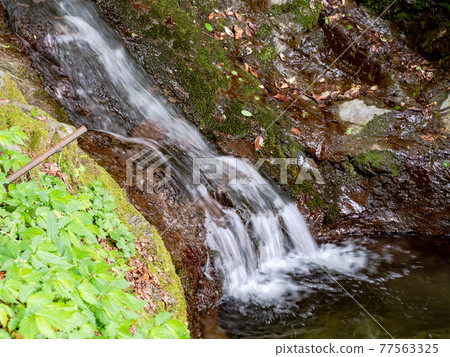 A view of the cool spring Shiraito Falls 77563325