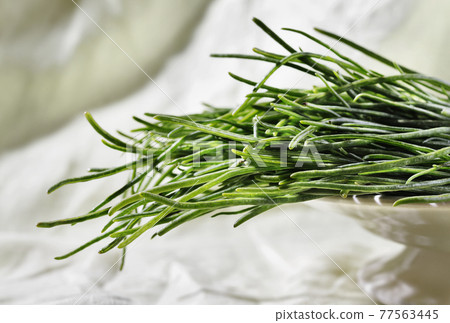 Fresh agretti -salsola soda - Fresh agretti -salsola soda - 77563445