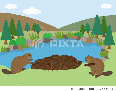 A couple of beavers nesting by the water 77563983