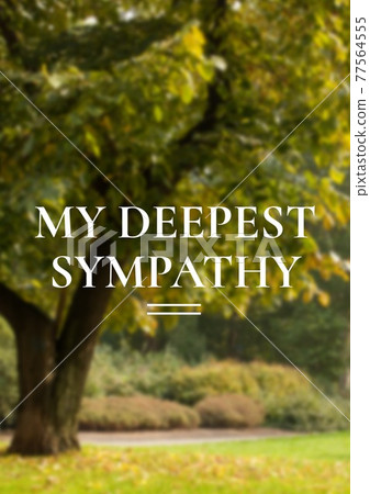 Digitally generated image of sympathy concept text against tree in the park Digitally generated image of sympathy concept text against tree in the park 77564555