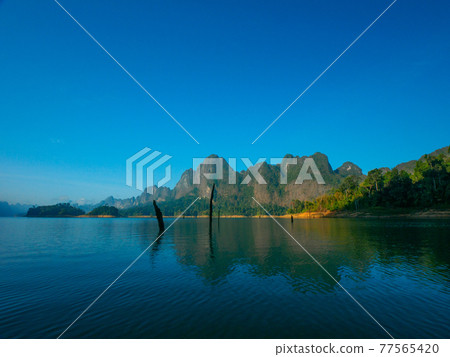 寧靜的晨湖點綴著腐爛的樹木（泰王國素叻他尼府考索國家公園） 77565420
