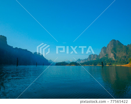Quiet morning lake dotted with rotten trees (Khao Sok National Park, Surat Thani Province, Kingdom of Thailand) 77565422