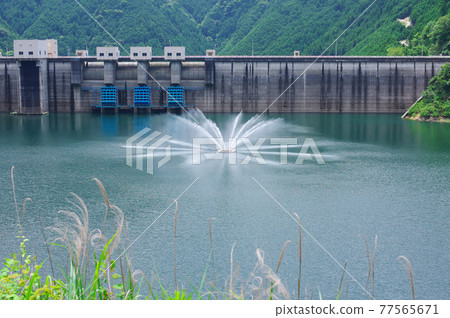 Lotus dam fountain 77565671