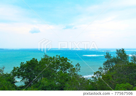 [Okinawa] Trees and trees seen from Sefa Utaki (film style) 77567506