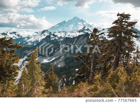 Mt Baker Mt Baker 77567665