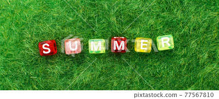 word summer on green grass background. lawn desktop nature pattern. banner 77567810
