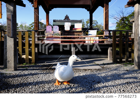 Shinsen-en duck Shinsen-en duck 77568273