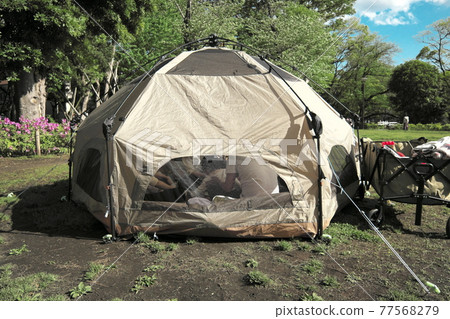 Day camp in Bunko no Mori 77568279