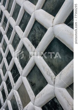 Sea cucumber wall 77568295