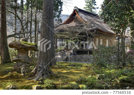 Sanzenin Garden, Kyoto 77568538