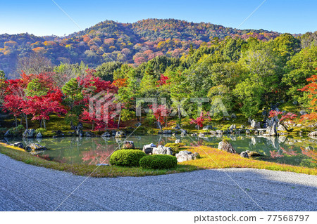 Kyoto Tenryu-ji Temple "Sogenchi Garden" shining in the morning sun Kyoto Tenryu-ji Temple "Sogenchi Garden" shining in the morning sun 77568797