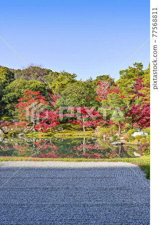 朝陽下閃耀的京都天龍寺“相源園” 朝陽下閃耀的京都天龍寺“相源園” 77568811