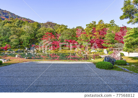朝陽下閃耀的京都天龍寺“相源園” 朝陽下閃耀的京都天龍寺“相源園” 77568812