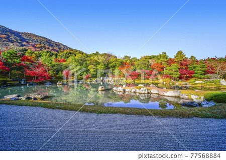 Kyoto Tenryu-ji Temple "Sogenchi Garden" shining in the morning sun Kyoto Tenryu-ji Temple "Sogenchi Garden" shining in the morning sun 77568884
