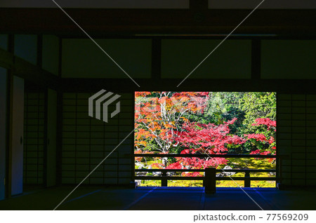 Autumn leaves in the precincts of Tenryu-ji Temple in Kyoto 77569209