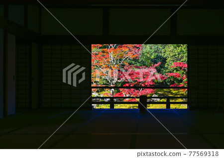 Autumn leaves of Tenryu-ji Temple, Kyoto Autumn leaves of Tenryu-ji Temple, Kyoto 77569318