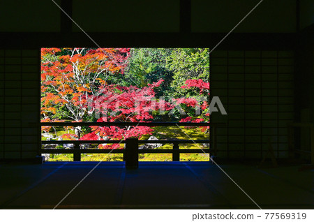 Autumn leaves of Tenryu-ji Temple, Kyoto Autumn leaves of Tenryu-ji Temple, Kyoto 77569319