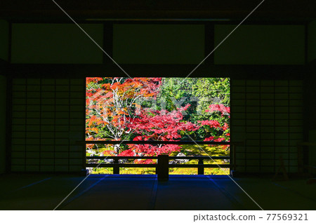 Autumn leaves of Tenryu-ji Temple, Kyoto Autumn leaves of Tenryu-ji Temple, Kyoto 77569321