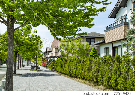 Green cityscape Green cityscape 77569425