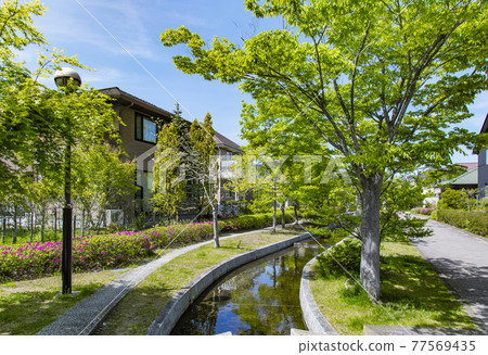 Green cityscape Green cityscape 77569435