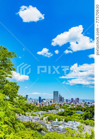 仙台市全景 77570630