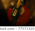 Fire extinguisher 77571320