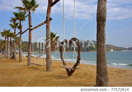 Fukuoka Prefecture Itoshima Palm Tree Blanco 77572614