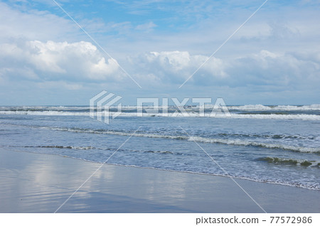 海濱 77572986