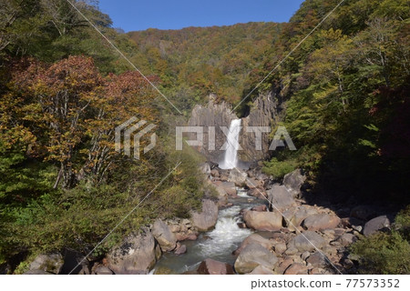 Take a picture of the appearance of Naena Waterfall, one of the 100 best waterfalls in Japan on the Myoko Plateau in the blue sky through autumn Take a picture of the appearance of Naena Waterfall, one of the 100 best waterfalls in Japan on the Myoko Plateau in the blue sky through autumn 77573352