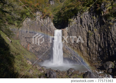 Naena Waterfall in autumn, a straight vague with a head of 55m draws a rainbow with a roaring sound Naena Waterfall in autumn, a straight vague with a head of 55m draws a rainbow with a roaring sound 77573363