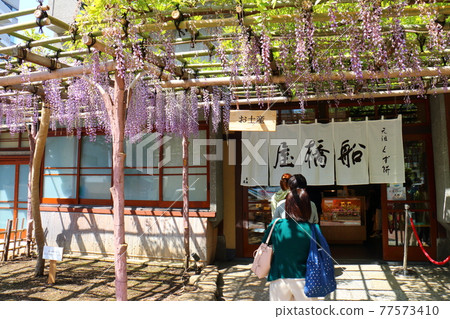 Funabashiya Kuzumochi in Kameido, Koto-ku, Tokyo Fuji Festival Funabashiya Kuzumochi in Kameido, Koto-ku, Tokyo Fuji Festival 77573410