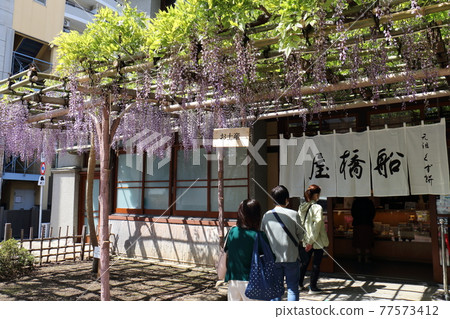 Funabashiya Kuzumochi in Kameido, Koto-ku, Tokyo Fuji Festival Funabashiya Kuzumochi in Kameido, Koto-ku, Tokyo Fuji Festival 77573412