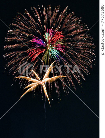 Fireworks that illuminate the summer night sky Fireworks that illuminate the summer night sky 77573680
