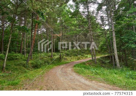 長野縣伊那市町道高峰線 77574315