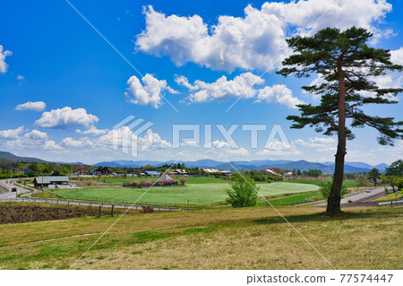 Scenery of Hiruzen Plateau (Okayama Prefecture) Scenery of Hiruzen Plateau (Okayama Prefecture) 77574447