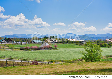 Scenery of Hiruzen Plateau (Okayama Prefecture) Scenery of Hiruzen Plateau (Okayama Prefecture) 77574449
