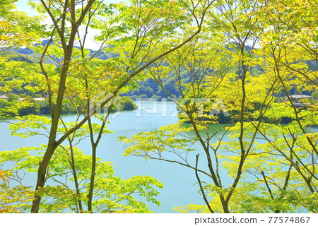 神奈川縣山北町丹澤湖風光 77574867