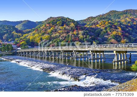 Arashiyama in autumn, Togetsu Bridge Arashiyama in autumn, Togetsu Bridge 77575309