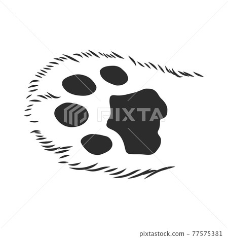 cat's paw with the pads pulled up sketch vector graphics black and white drawing, cat's paw vector sketch illustration cat's paw with the pads pulled up sketch vector graphics black and white drawing, cat's paw vector sketch illustration 77575381