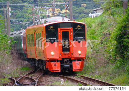 匯十博世 / Midori 77576164