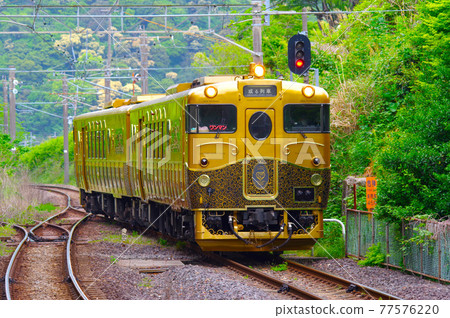 Golden diesel 77576220