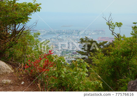 六甲山 / 風景 六甲山 / 風景 77576616