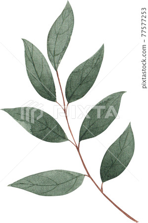 Flowers and landscape decor watercolor Flowers and landscape decor watercolor 77577253