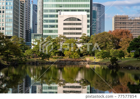 Hamarikyu in autumn Hamarikyu in autumn 77577854