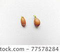 Lemon seeds 77578284